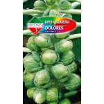 Kapusta brukselska DOLORES MIESZANIEC F1 (Brassica oleracea L.) - 0,5 g