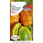 Kiwano, Ogórek afrykański, Ogórek rogaty (Cucumis metuliferus) - 10 nasion