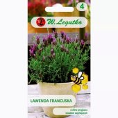 Lawenda francuska (Lavandula stoechas) - 0,03 g 