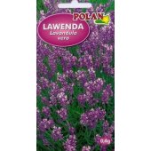 Lawenda lekarska (Lavandula vera) - 0,4 g