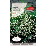 Łyszczec wiechowaty, Gipsówka wiechowata (Gypsophila paniculata) - 0,5 g