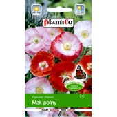 Mak polny (mieszanka) (Papaver rhoeas) - 1 g