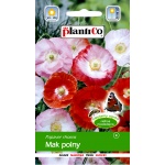 Mak polny (mieszanka) (Papaver rhoeas) - 1 g