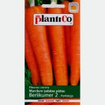 Marchew późna BERLIKUMER 2 PERFEKCJA (Daucus carota) - 5 g + 1 g