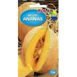 Melon ANANAS (Cucumis melo) - 1 g