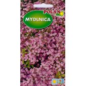 Mydlnica bazyliowata (Saponaria ocymoides) - 1 g 