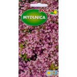 Mydlnica bazyliowata (Saponaria ocymoides) - 1 g 