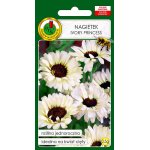 Nagietek IVORY PRINCESS (Calendula officinalis) - 0,5 g