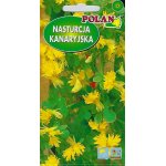 Nasturcja kanaryjska (Tropaeolum peregrinum) - 1 g