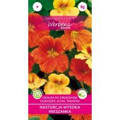 Nasturcja wysoka (mieszanka) (Tropaeolum peltophorum) - 4 g