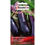 Oberżyna VIOLETTA LUNGA 3 (Solanum melongena) - 1 g