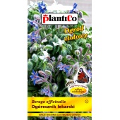 Ogórecznik lekarski (Borago officinalis) - 2 g 