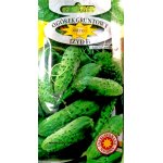 Ogórek gruntowy, konserwowy, kwaszeniak IZYD  F1 (Cucumis sativus) - 5 g