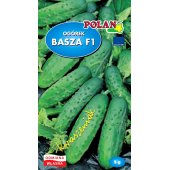 Ogórek gruntowy, konserwowy, kwaszeniak BASZA F1 (Cucumis dativus) - 5 g