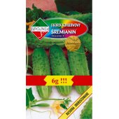 Ogórek gruntowy, konserwowy, kwaszeniak ŚREMIANIN mieszaniec F1 (Cucumis sativus) - 6 g