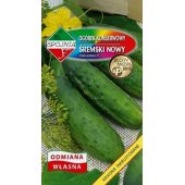 Ogórek gruntowy, konserwowy, kwaszeniak ŚREMSKI NOWY F1 (Cucumis sativus) - 5 g 