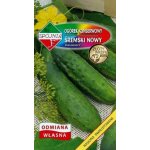 Ogórek gruntowy, konserwowy, kwaszeniak ŚREMSKI NOWY F1 (Cucumis sativus) - 5 g 