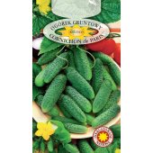 Ogórek gruntowy, korniszonowy, konserwowy CORNICHON de PARIS (Cucumis sativus) - 5 g