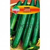 Ogórek szklarniowy, pod osłony LECH F1 (Cucumis sativus) - 1 g