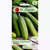 Ogórek szklarniowy, pod osłony MONIKA (Cucumis sativus) - 2 g