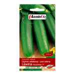 Ogórek szklarniowy, pod osłony LAWINA F1 (Cucumis sativus) - 1g