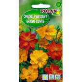 Onętek siarkowy BRIGHT LIGHTS (mieszanka) (Cosmos sulphureus) - 1 g