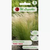 Ostnica mocna PONY TAILS (Stipa tenuissima) - 0,05 g