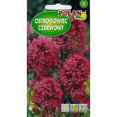 Ostrogowiec czerwony, Kentrantus (Centranthus ruber) - 0,3 g