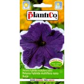 Petunia ogrodowa ILUZJA (niebieska) (Petunia hybrida multiflora nana) - 0,05 g