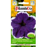 Petunia ogrodowa ILUZJA (niebieska) (Petunia hybrida multiflora nana) - 0,05 g