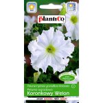 Petunia ogrodowa KORONKOWY WELON (Petunia hybrida grandiflora fimbriata) - 0,05 g