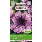 Petunia ogrodowa TĘCZA (Petunia hybrida grandiflora nana) - 0,05 g