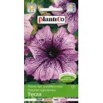 Petunia ogrodowa TĘCZA (Petunia hybrida grandiflora nana) - 0,05 g