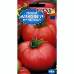 Pomidor gruntowy karłowy MARMANDE (Solanum lycopersicum) - 0,5 g