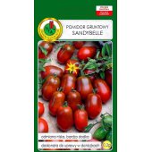 Pomidor koktajlowy SANDYBELLE (Solanum lycopersicum L.) - 0,2 g