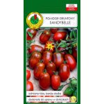 Pomidor koktajlowy SANDYBELLE (Solanum lycopersicum L.) - 0,2 g