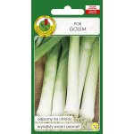 Por GOLEM (Allium porrum) - 1 g