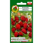 Poziomka REGINA (Fragaria vesca) - 0,5 g