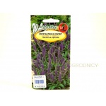 Przetacznik kłosowy (Veronica spicata) - 0,1 g