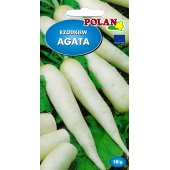 Rzodkiew podłużna letnia AGATA (Raphanus sativus) - 10 g 