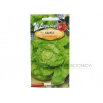 Sałata masłowa średniopóźna CUD VOORBURGU (Lactuca sativa) - 1 g