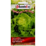 Sałata głowiasta batavia BLONDE DE PARIS (Lactuca sativa) - 0,5 g