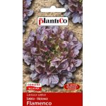 Sałata liściowa FLAMENCO (Lactuca sativa) - 0,5 g