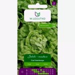 Sałata masłowa średniopóźna CUD VOORBURGU (Lactuca sativa) - 1 g