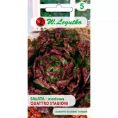 Sałata masłowa średniowczesna QUATTRO STAGIONI (Lactuca sativa) - 1 g