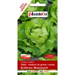 Sałata masłowa wczesna KRÓLOWA MAJOWYCH (Lactuca sativa) - 1,2 g