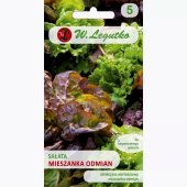 Sałata MIESZANKA ODMIAN (Lactuca sativa) - 1,5 g 