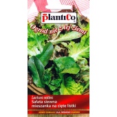 Sałata na cięte listki mieszanka (Lactuca sativa) - 1 g