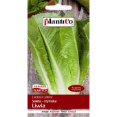 Sałata rzymska LIWIA (Lactuca sativa) - 1 g