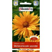 Słoneczniczek szorstki (Heliopsis scabra) - 1 g